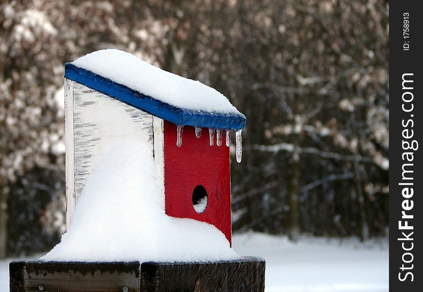 Birdhouse after major winter storm. Birdhouse after major winter storm