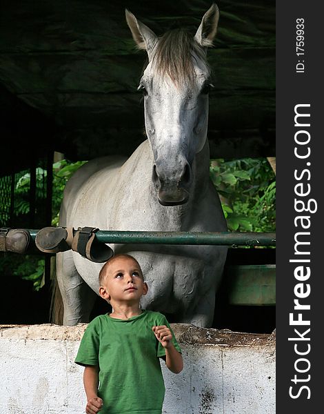 Young Boy And Horse