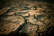 The Soil In The Fissures Stock Image The Soil In The Fissures Stock Image