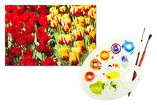Tulips On A Paper With Palette And Paintbrushes Royalty Free Stock Photo Tulips On A Paper With Palette And Paintbrushes Royalty Free Stock Photo