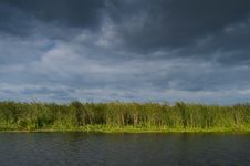 Danube Delta Landscape Stock Photography