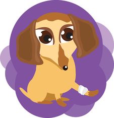 Dog With A Sick Leg Stock Photography Dog With A Sick Leg Stock Photography