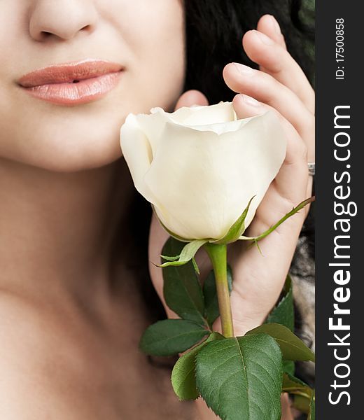 Closeup shot of white rose at girls hand. Closeup shot of white rose at girls hand
