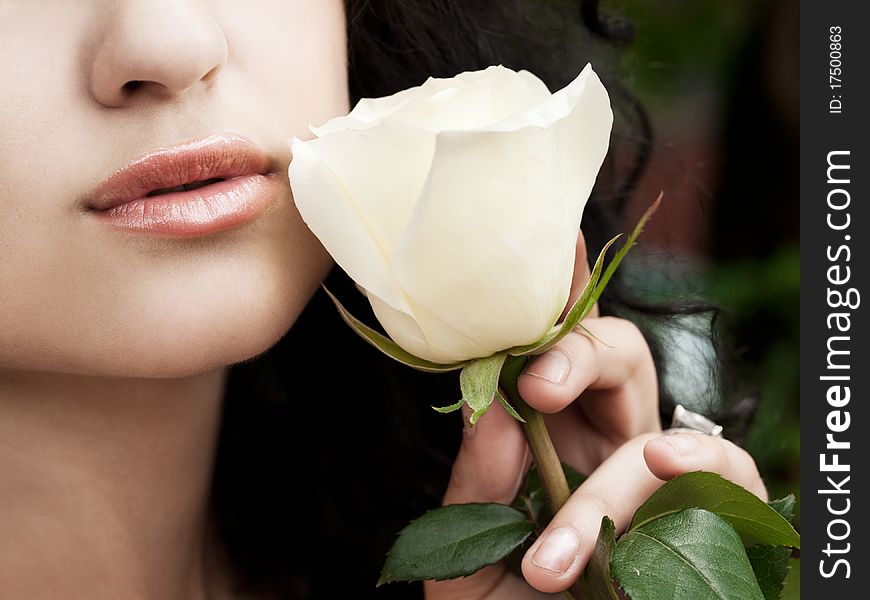 Closeup shot of white rose at girls hand. Closeup shot of white rose at girls hand