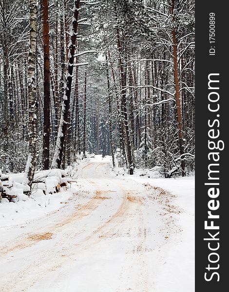 Road through wood during winter time (all in snow). Road through wood during winter time (all in snow)