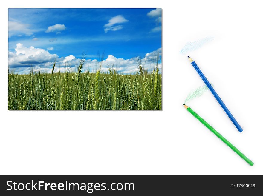 Image of green field of unripe wheat on paper with color pencils. Image of green field of unripe wheat on paper with color pencils