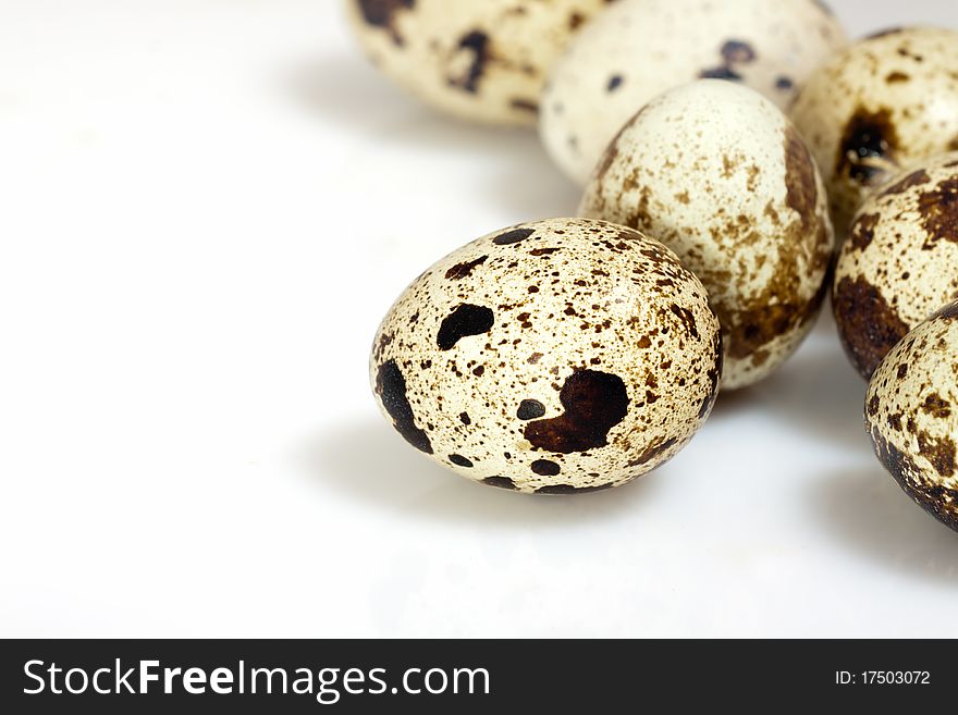 Quail spotted eggs on white. Quail spotted eggs on white.