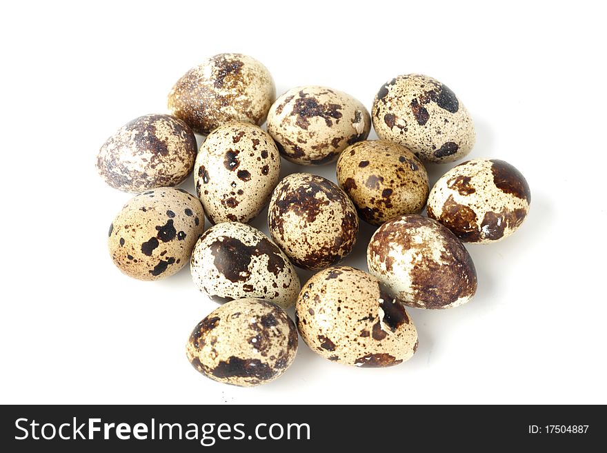 Quail egg background isolated macro close up