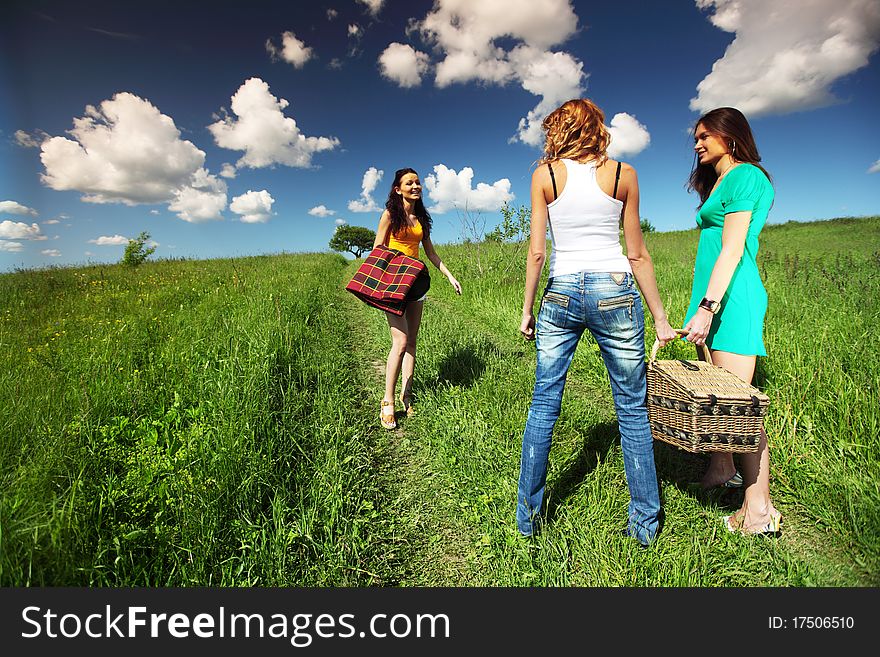 Very fun girlfriends on picnic