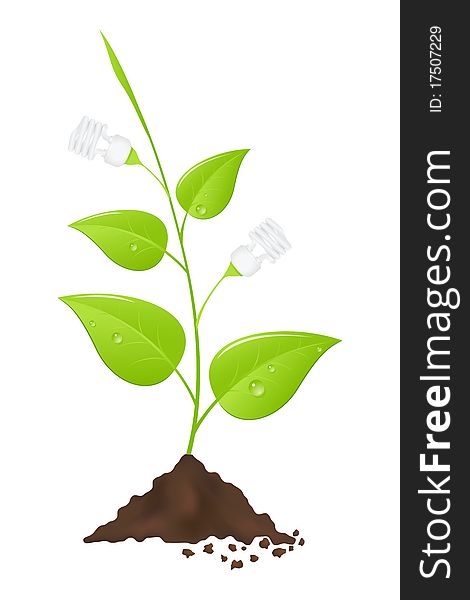 Light bulb tree. Save energy. Vector illustration.