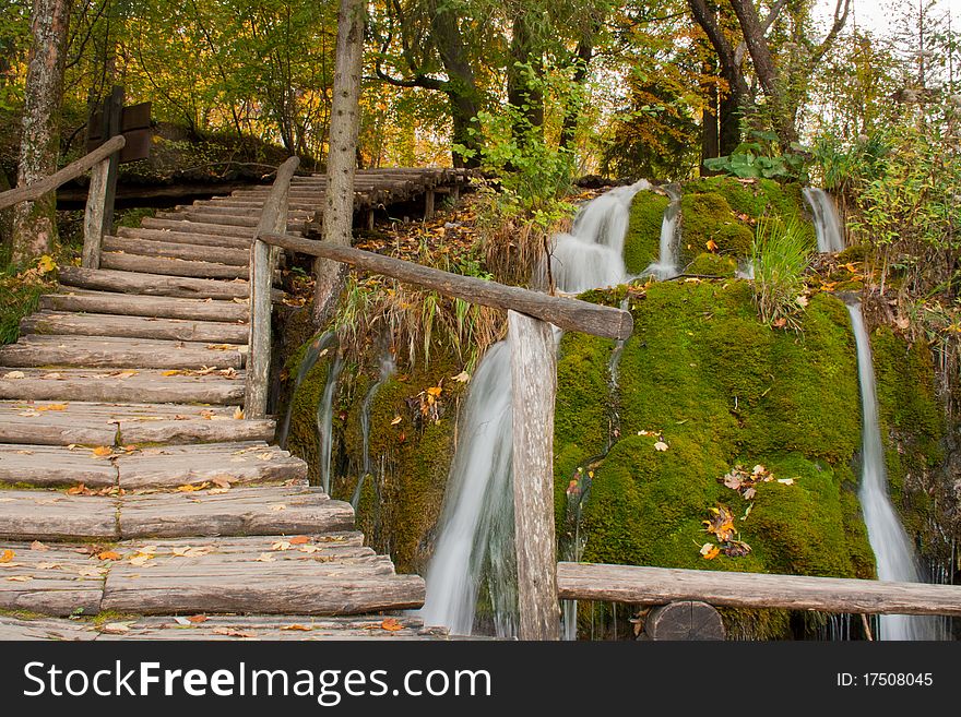 Wooden path along the stream in forest, autumn