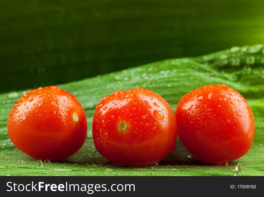 Ripe cherry tomatoes on a green background