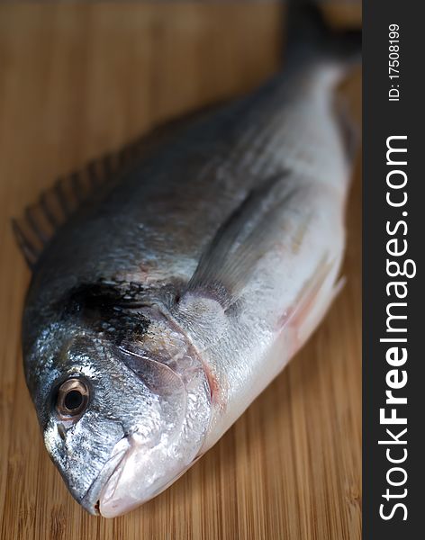 Fresh gilthead (Sparus auratus) close up on preparation table