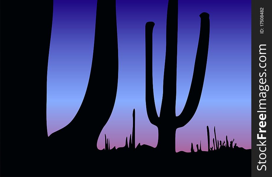 A silhouette of cactus at dusk. A silhouette of cactus at dusk