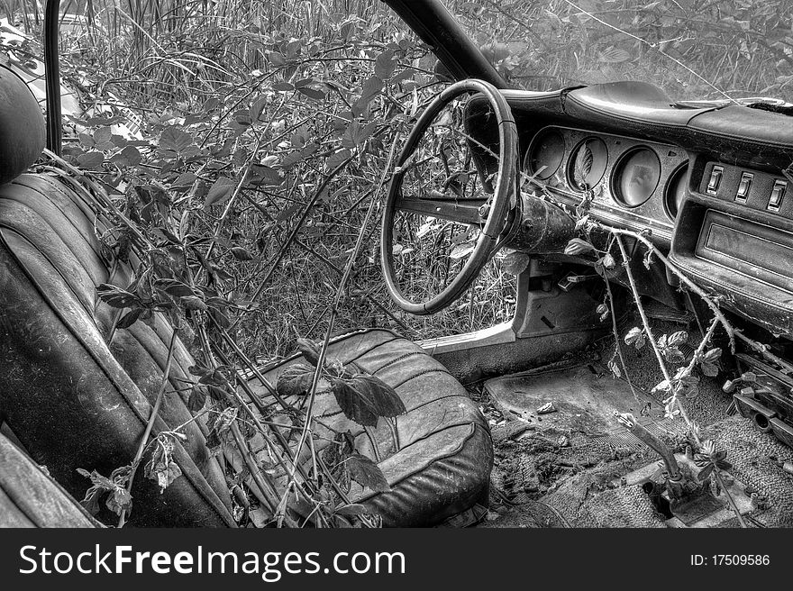 Car Reclaimed By Nature