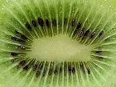 Kiwi Fruit Royalty Free Stock Photography Kiwi Fruit Royalty Free Stock Photography