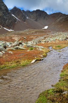 Free Wetland In The Mountains Royalty Free Stock Images - 17517789