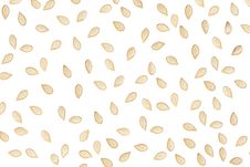 Pumpkin Seed Background Stock Image Pumpkin Seed Background Stock Image