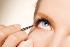Charming Young Woman Applying Blusher Eyelid Stock Image Charming Young Woman Applying Blusher Eyelid Stock Image