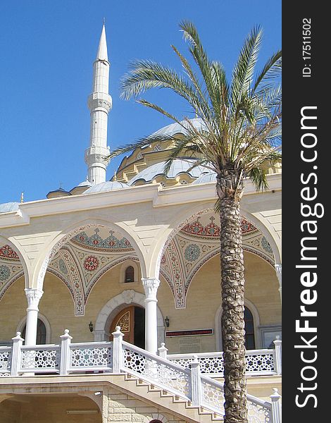 Palm on the background of the mosques and the blue sky. Palm on the background of the mosques and the blue sky