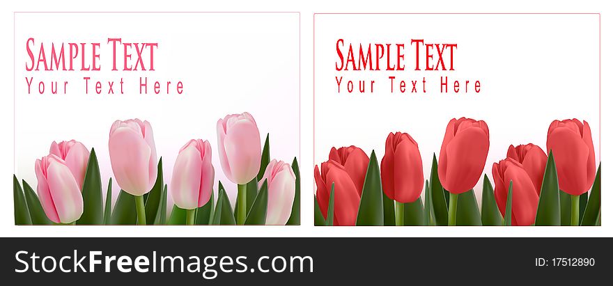 Flower Design Border Isolated On White. Vector.