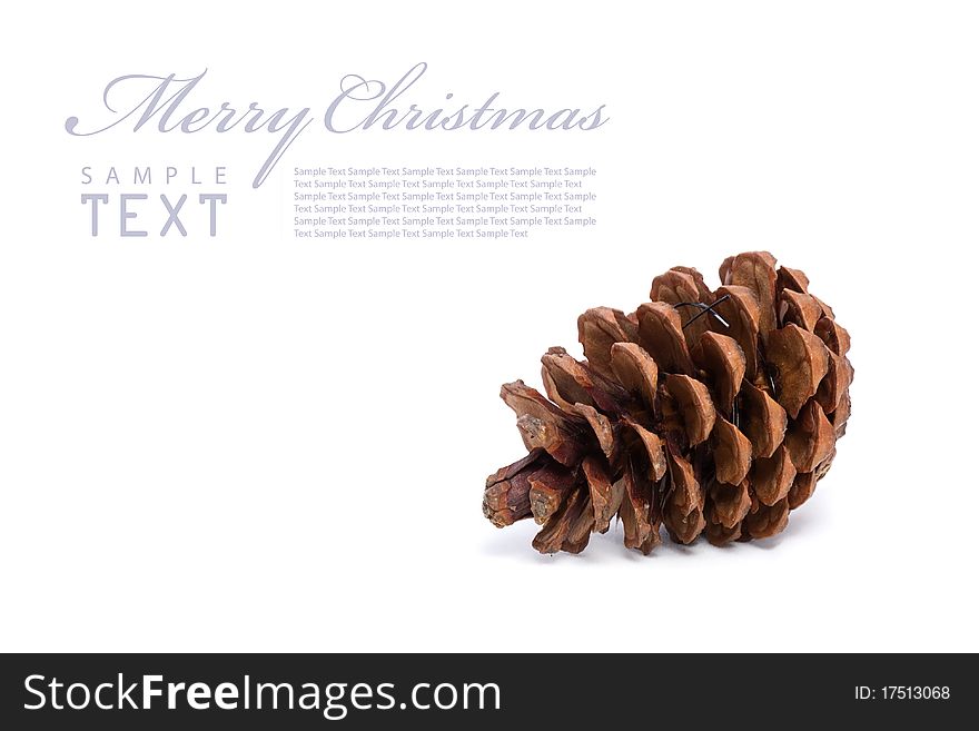 Christmas cones on a white background with copy space