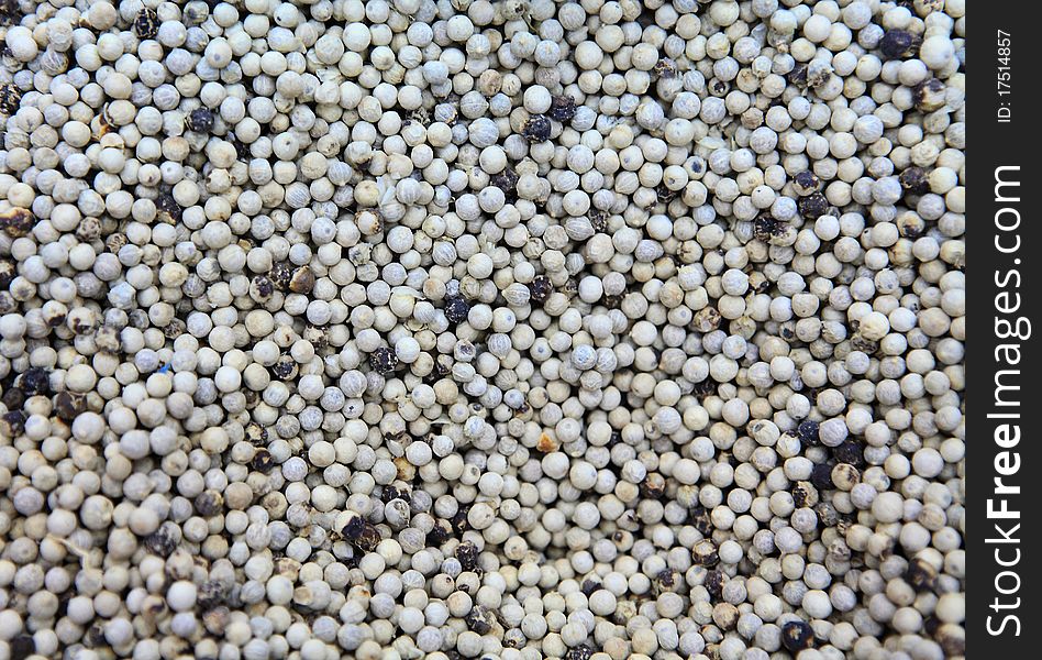 Close up shoot of white pepper seeds