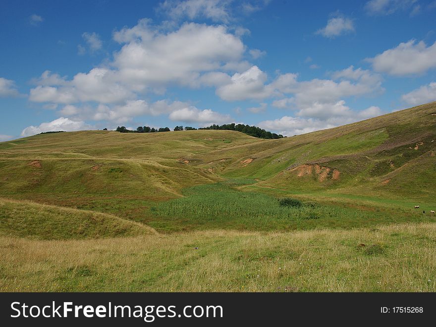 Beautiful alpine meadow with green grass and blue sky