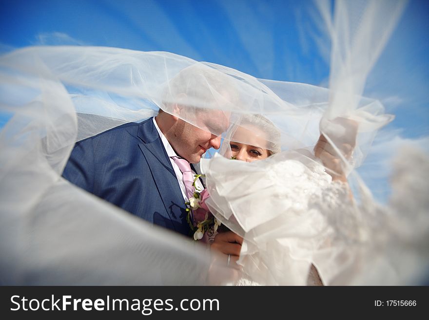 Bride and groom under the veil. Bride and groom under the veil