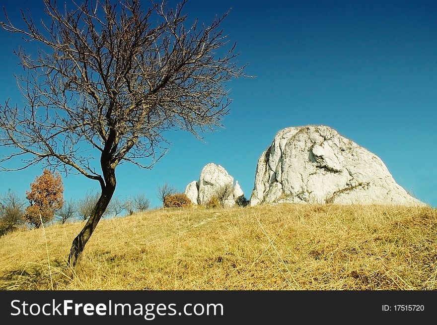 Meadow With White Cliffs