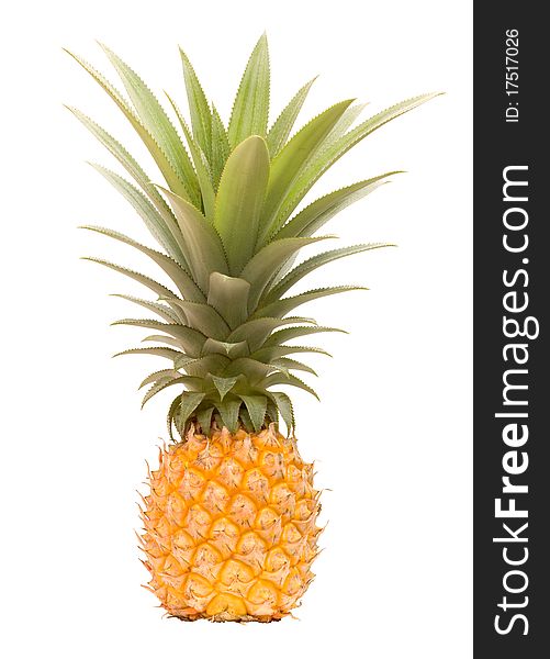 Garden grown totally organic pineapple