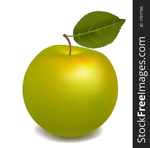 Fresh Green Apple Isolated On White. Vector