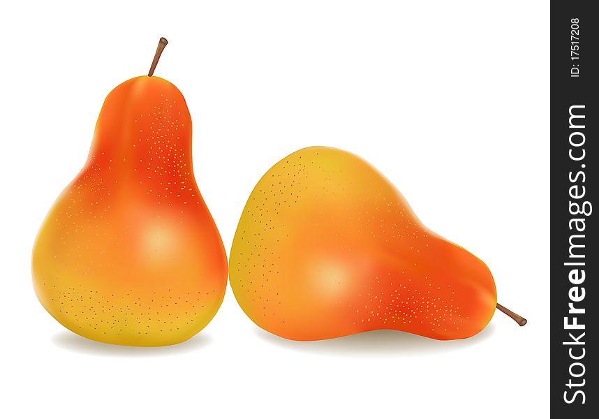 Two ripe yellow pears. Vector.