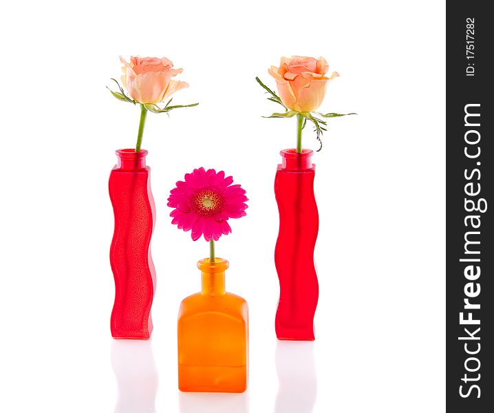 Orange roses and pink Gerber in little glass vases isolated over white