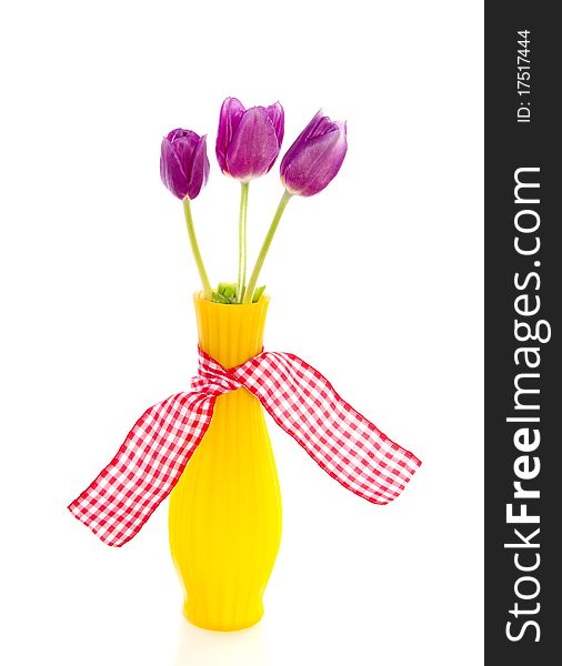 Purple tulips in a yellow little vase with checkered ribbon isolated over white