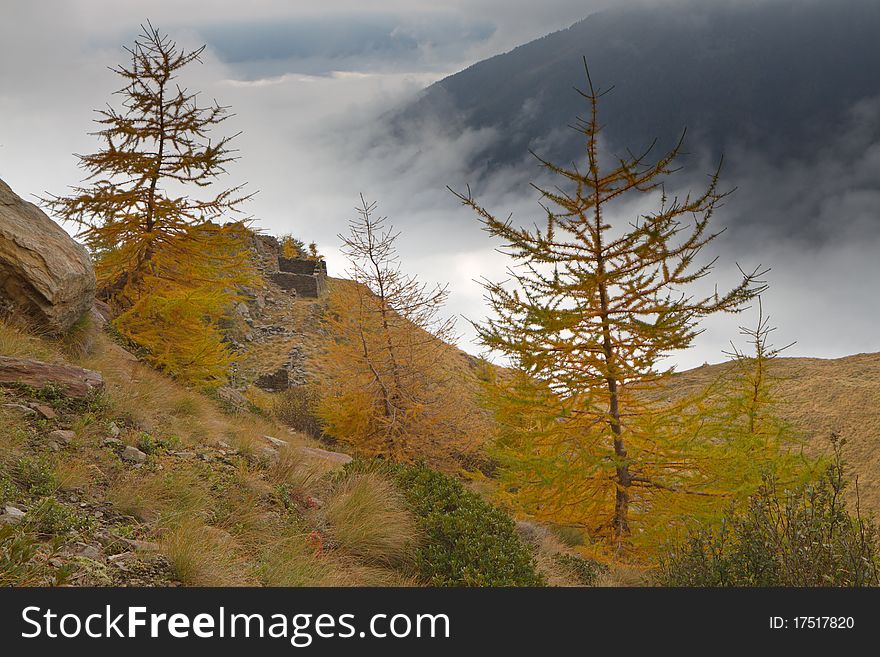 A trench of the first global war near Montozzo Pass. 2613 meters on the sea-level, after a fall snowfall. Brixia province, Lombardy region, Italy