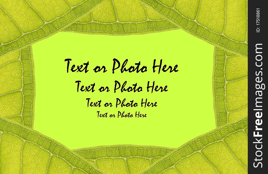 Natural leaf frame with space for text on green