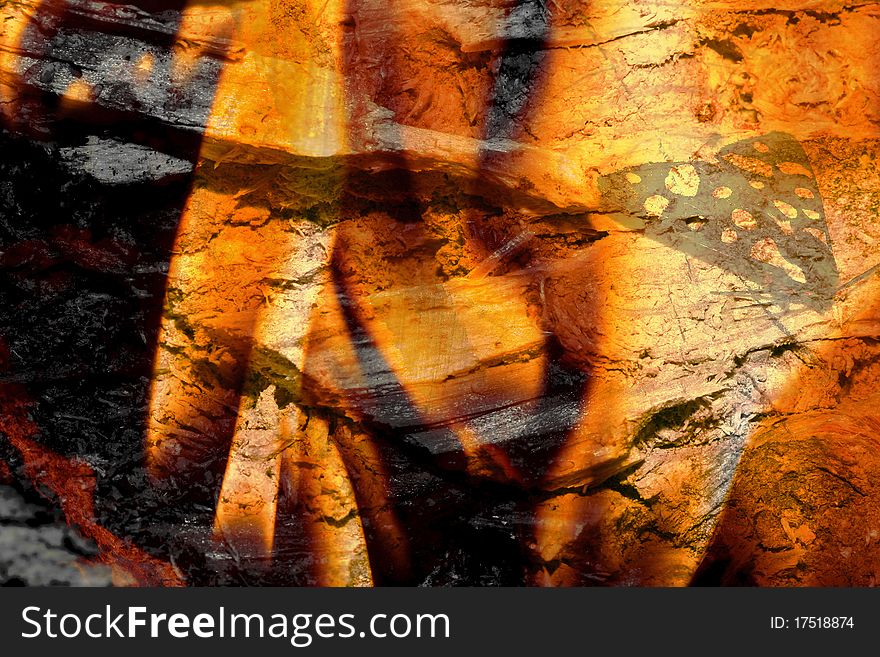 A grunge texture with butterfly and burning wood. A grunge texture with butterfly and burning wood