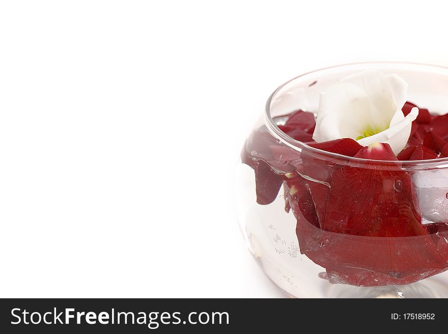 Bowl with petals of red roses