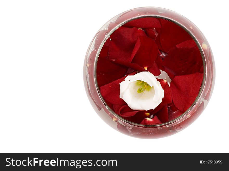 Bowl with petals of red roses