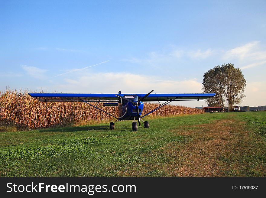 Airplane in a grain field