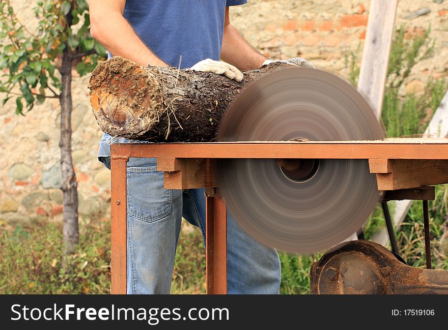 Boy is cutting the firewood