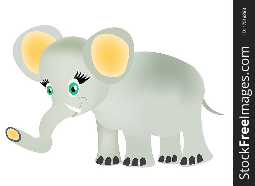 Small baby elephant on white background. Small baby elephant on white background