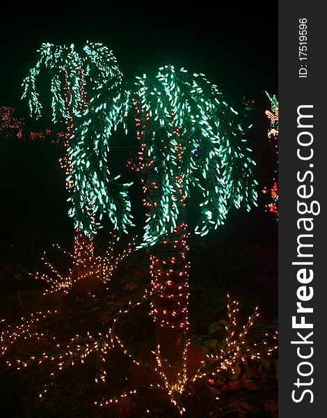 Palm trees made from LED holiday lights to celebrate the Christmas season in a garden display. Palm trees made from LED holiday lights to celebrate the Christmas season in a garden display.