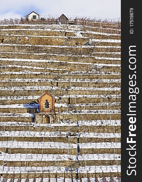 Vineyard in Bad Cannstatt, near Stuttgart in Winter