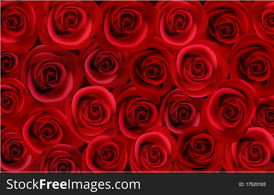 Big Bunch Of Red Roses. Vector