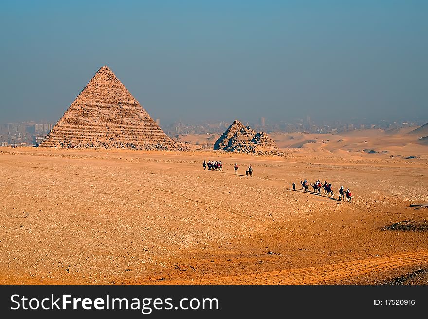 Camel caravan in the Sahara desert moving to the pyramid against Giza city background. Camel caravan in the Sahara desert moving to the pyramid against Giza city background