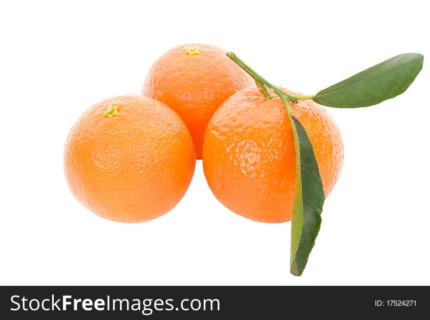 Three tangerines with leaves, isolated on white