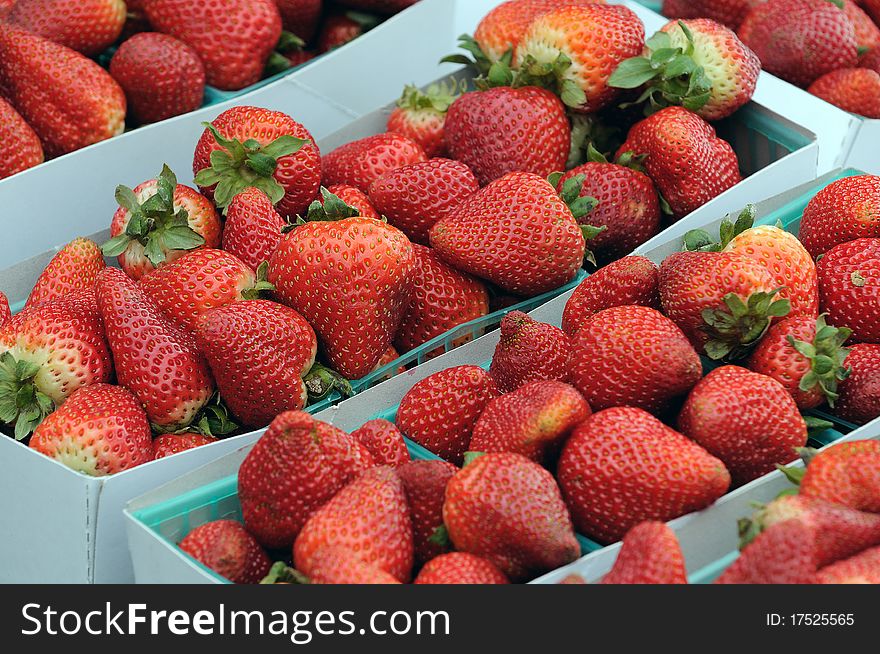 Freshly grown strawberries at a local market