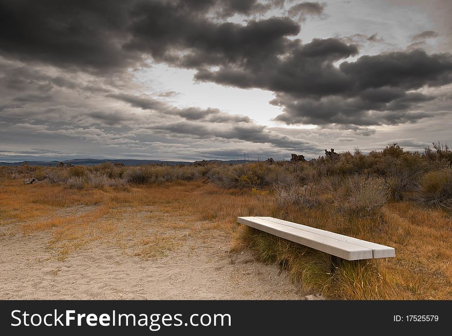 An autumn morning at Mono Lake